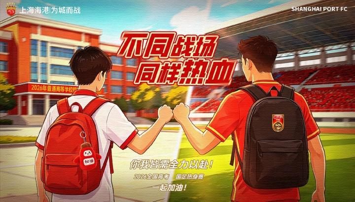 中超球员身价降幅榜：热菲尼奥、瓦吉奇
